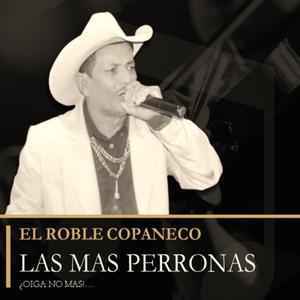 CONSECUENCIAS DE UN MAL GOBIERNO