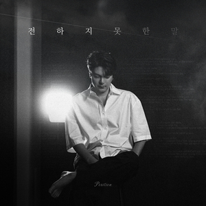 전하지 못한 말