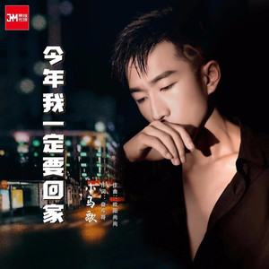 今年我一定回家DJ (Remix)