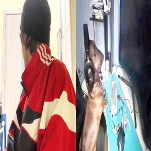 русский пост панк