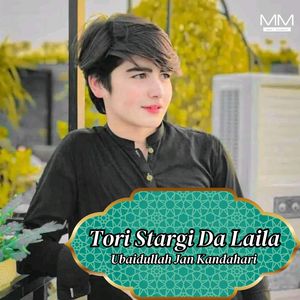 Tori Dildari Man
