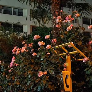 爱生闷气的水滴 demo