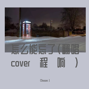 怎么能忘了（翻唱cover程响）