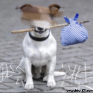 我会逃走像路边的流浪狗prod.cuddlewme