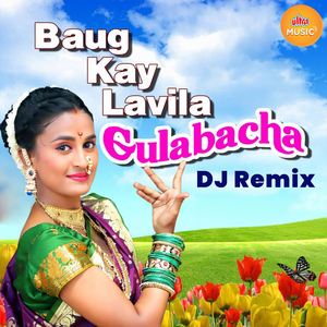 Khanivade Gavamadhi Baug Kay Lavila Gulabacha Remix
