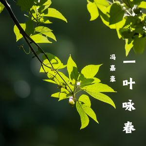 一叶咏春