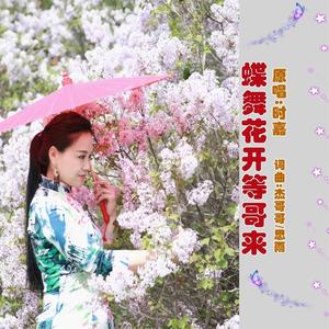 蝶舞花开等哥来 (伴奏)