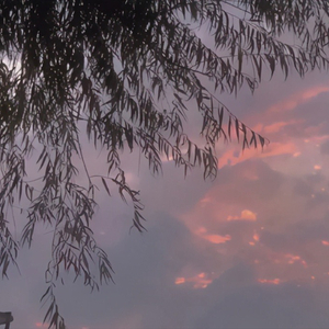 卑微的喜欢(伤心回忆版）