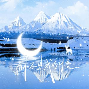 你不是我的月亮