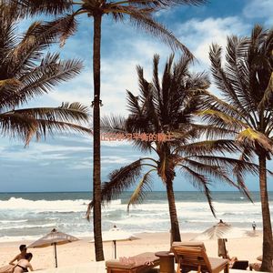 适合专注最好的音乐