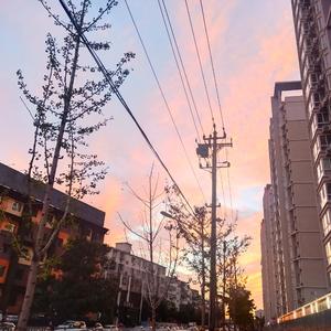 师大路上没有重逢