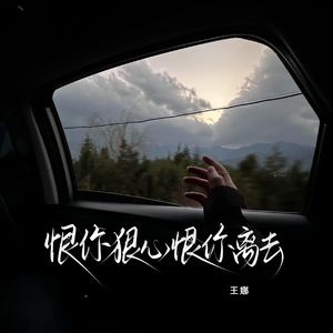 恨你狠心恨你离去（节奏版）