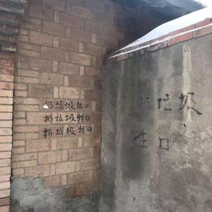 [Free]"Litter"杀手耗&法老 Hardcore Boombap Type Beat