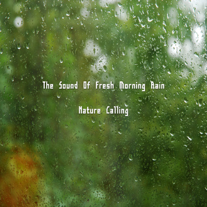 시원하게 쏟아지는 비