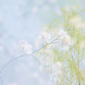 狮子