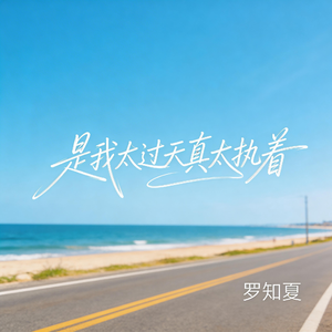 是我太过天真太执着