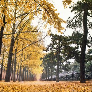 你像季风经过我的旷野