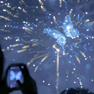 我在纽约打电话给你