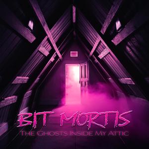 The Ghosts Inside My Attic