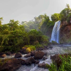 稻花轻飏的田垄