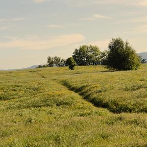 Ti Vidi