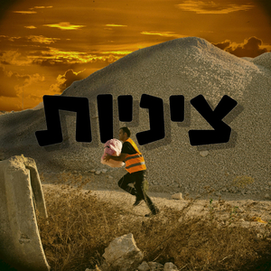 ציניות