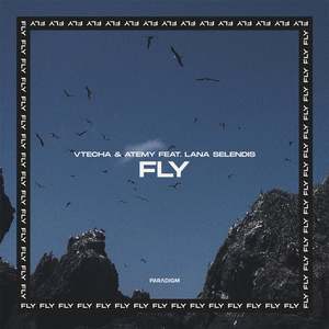 Fly (Extended Mix)