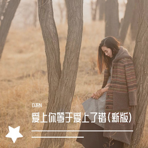 爱上你等于爱上了错（新版伴奏)