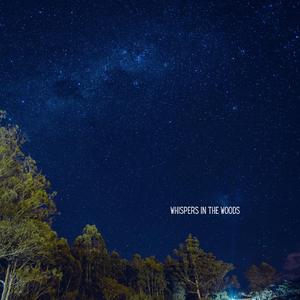 Whispers in the Woods