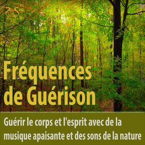 Guérir le corps et l'esprit avec de la musique apaisante et des sons de la nature
