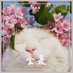 全是 (7)