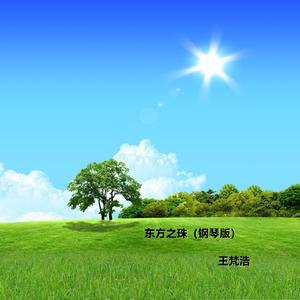 阳光总在风雨后 (钢琴版)