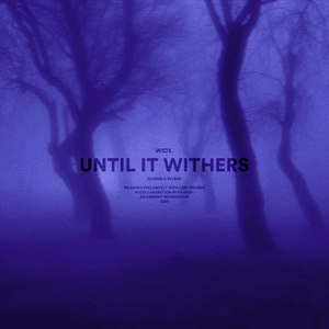 until it withers (slowed + reverb)
