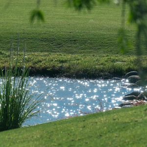 候鸟寄错的明信片