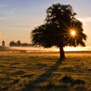 Ever After (grand piano)