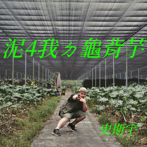 泥4我ㄉ龜背芋