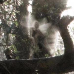 suffer→happy//prod.guda