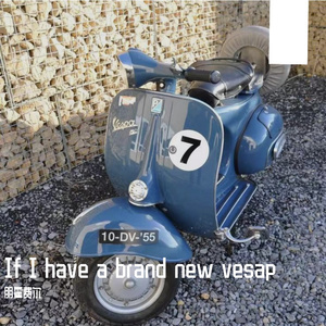 If I Have A Brand New Vesap