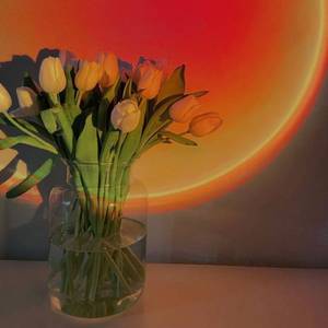 Strings Of Solitude (Instrumental)