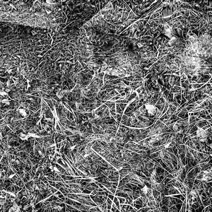 Explorers of Unknown Spaces