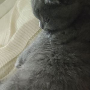 我们还是做朋友吧（翻自 杨振宇）