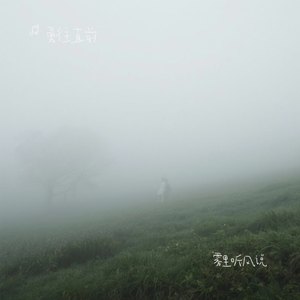 雾里听风