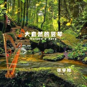 乡间的午后 竖琴版