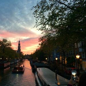 Kissing Bird（cover 白日梦）