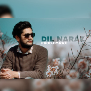 Dil Naraz