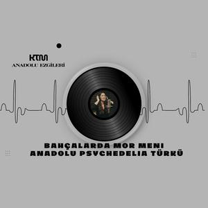 BAHÇALARDA MOR MENİ