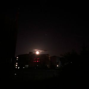 嘿，抬头（cover 贰佰）