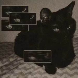 我爱你但是我要回家