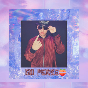 Mi Perre