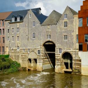 Its Imagines In Jungle